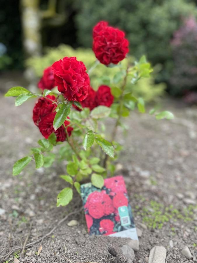 Galloway Farmstay Claunch ニュートン・スチュワート エクステリア 写真