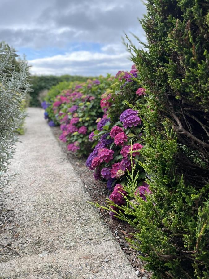 Galloway Farmstay Claunch ニュートン・スチュワート エクステリア 写真